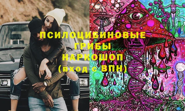 дурь Алексин