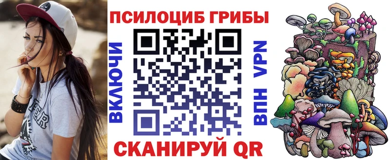 Псилоцибиновые грибы Cubensis  наркота  Порхов 