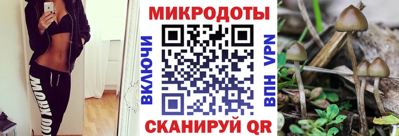 Галлюциногенные грибы MAGIC MUSHROOMS Порхов